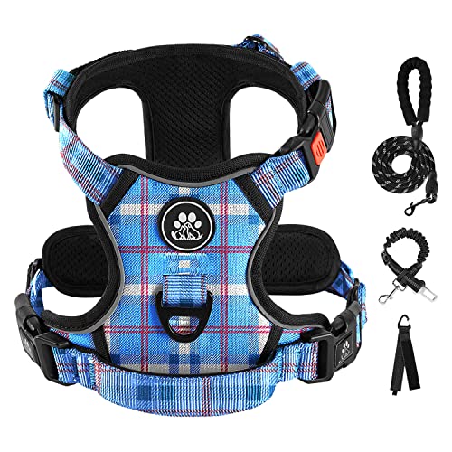 Checkered Blue