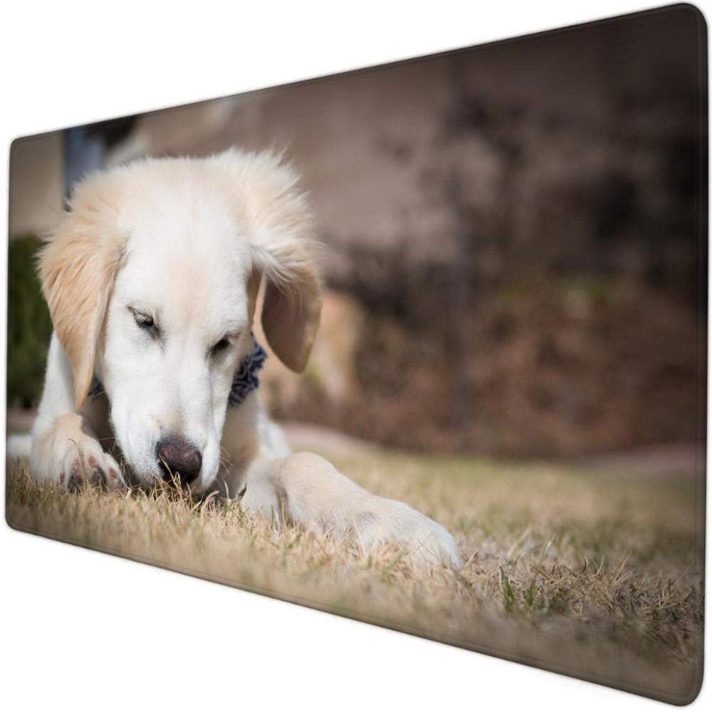 Cute Pet Large Non-Slip Desk Pad - 800x300x3mm Computer Mouse Pad & Keyboard Mat for Office, Gaming, and Notebook Use - Soft Padded Surface for Comfort and Precision