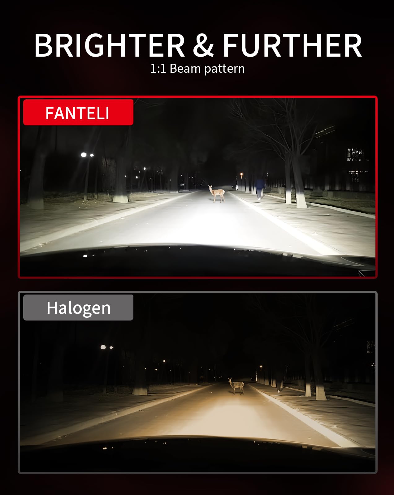 H4 LED Bulb 34000LM 800% Brighter 1:1 Size 9003 LED Bulb - Plug and Play HB2 Bulb 6000K Cool White - IP68 Waterproof - Pack of 2 - Perfect for Interior Light, Dome Light, Map Light, Door Light and License Plate Lights - Ideal for Cars, Trucks, SUVs and Motorcycles