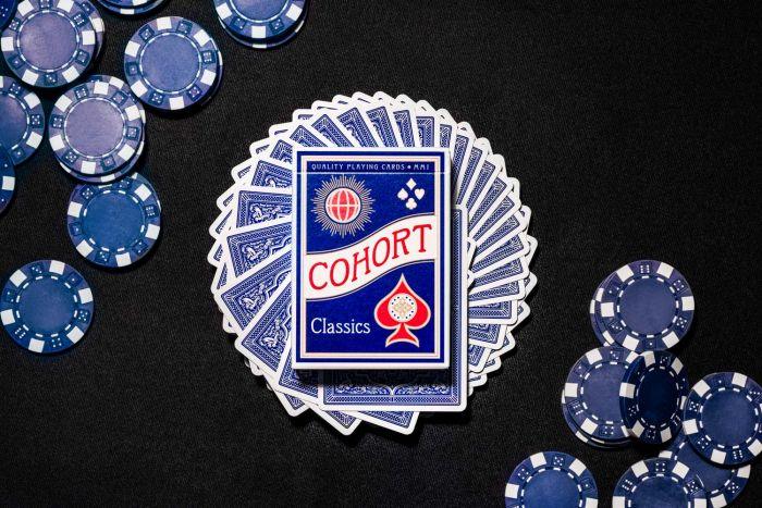 Premium Blue Cohorts - Trendy & Comfortable for Everyday Wear, Work, and Casual Outings