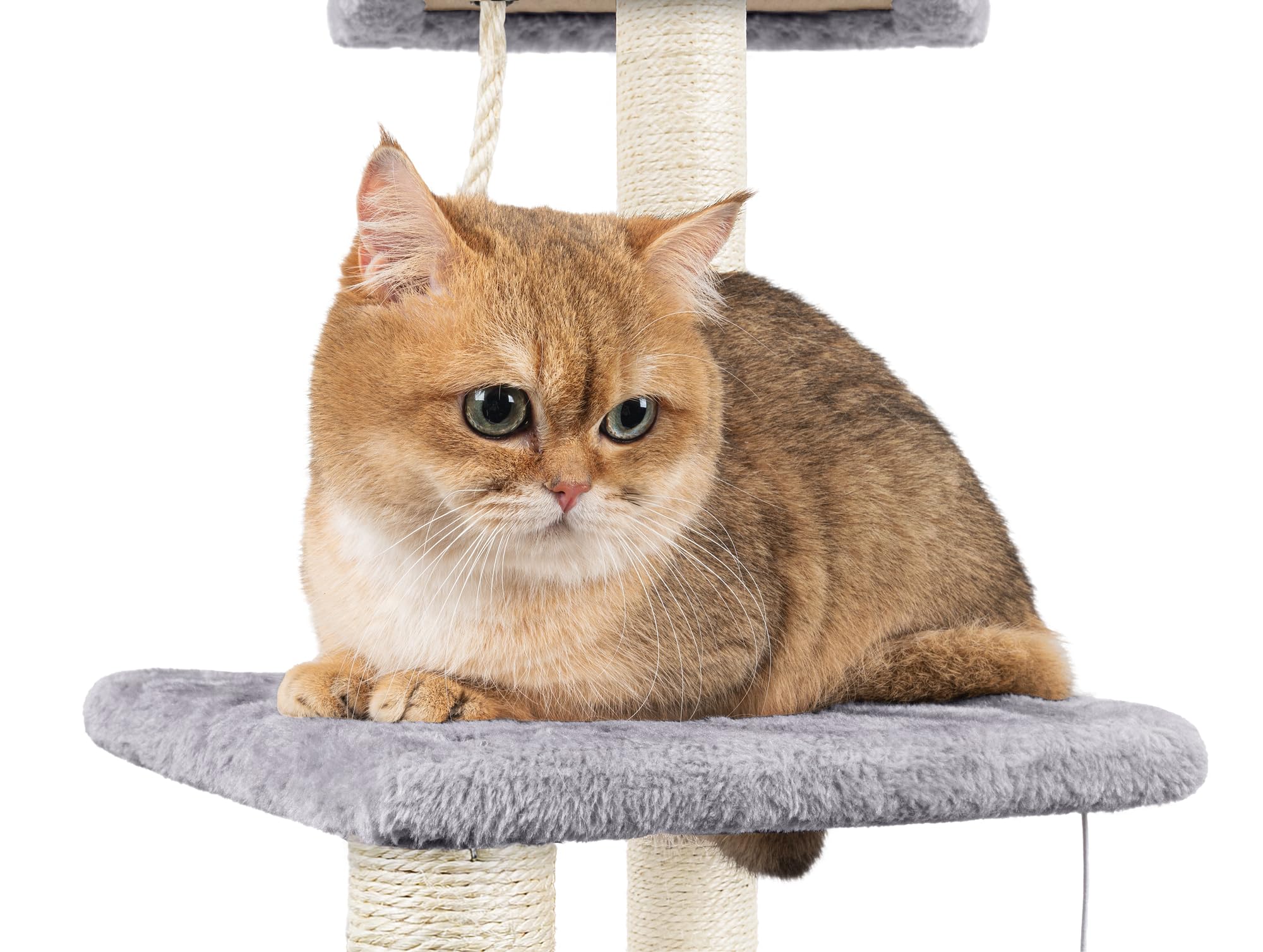 90cm Multi-Level Cat Tree with Scratching Post & Cat House - Sturdy Cat Tower for Indoor Cats to Climb, Play & Relax - Perfect for Small Spaces & Cat Nap Time (Grey)