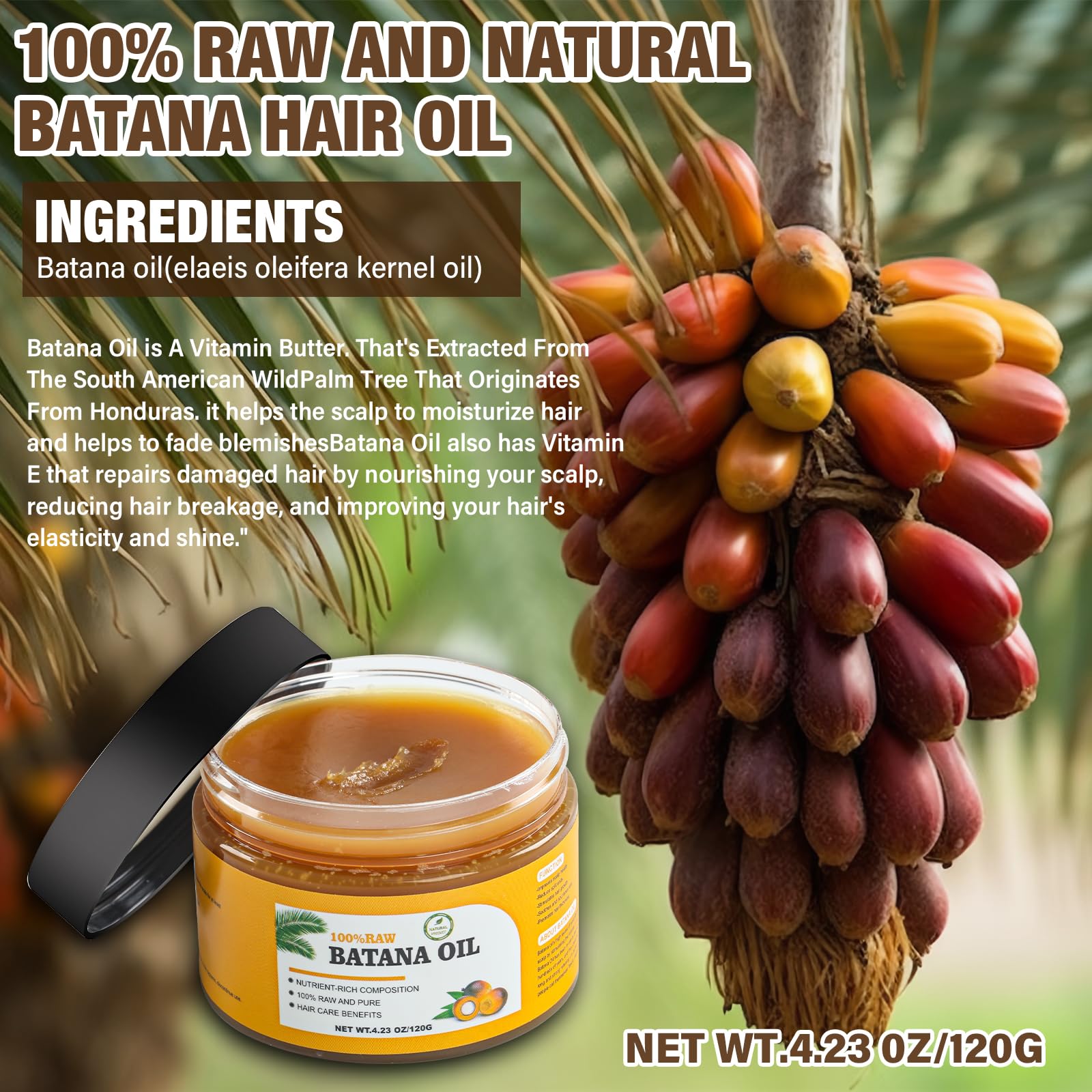 100% Pure Natural Raw Batana Oil for Hair Growth & Thickness | Organic Honduran Batana Oil | Prevent Hair Loss | Stimulates Hair Follicles | For Men & Women | Perfect for Daily Hair Care & Scalp Treatment