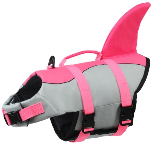 Solid Pink