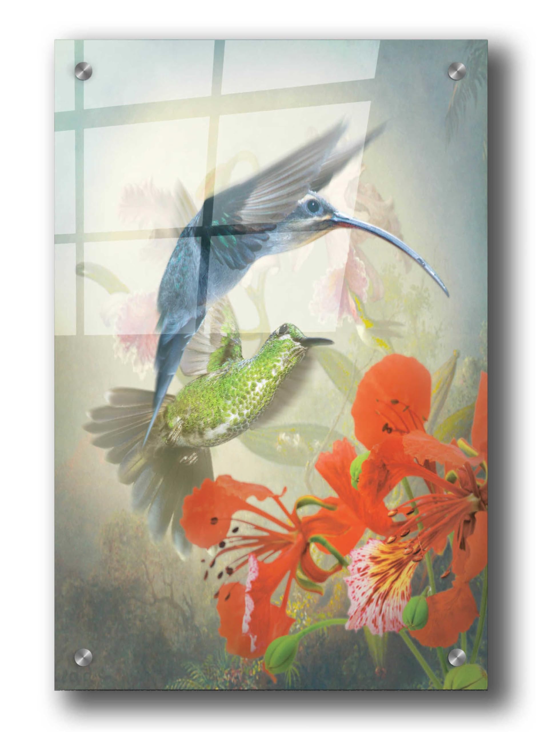 Epic Art 'Hummingbird Cycle II' by Steve Hunziker - Vibrant Acrylic Glass Wall Art 24x36 Inches - Modern Home Decor for Living Room, Bedroom & Office