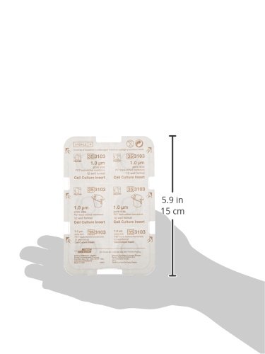 BD 353102 Falcon Translucent PET Cell Culture Insert - 1.5-2.5mL Volume, 1.0 Micron Pore Size, Fits 6 Well Plates (Pack of 48) - Ideal for Cell Migration, Co-Culture & Drug Permeability Studies in Laboratories