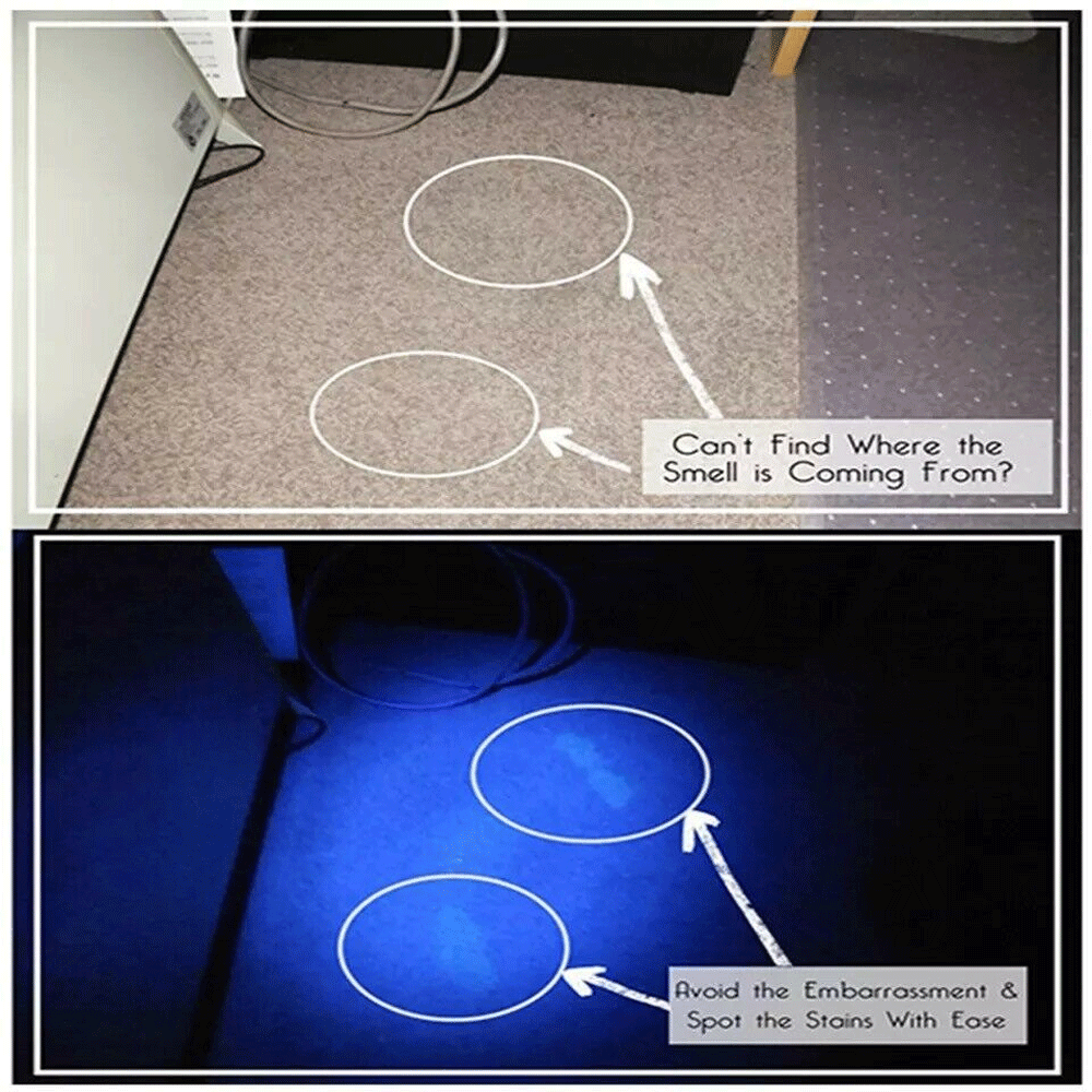 Super Bright UV Flashlight 395nm Black Light - Perfect for Detecting Counterfeit Money, Pet Stains, and Scorpion Hunting