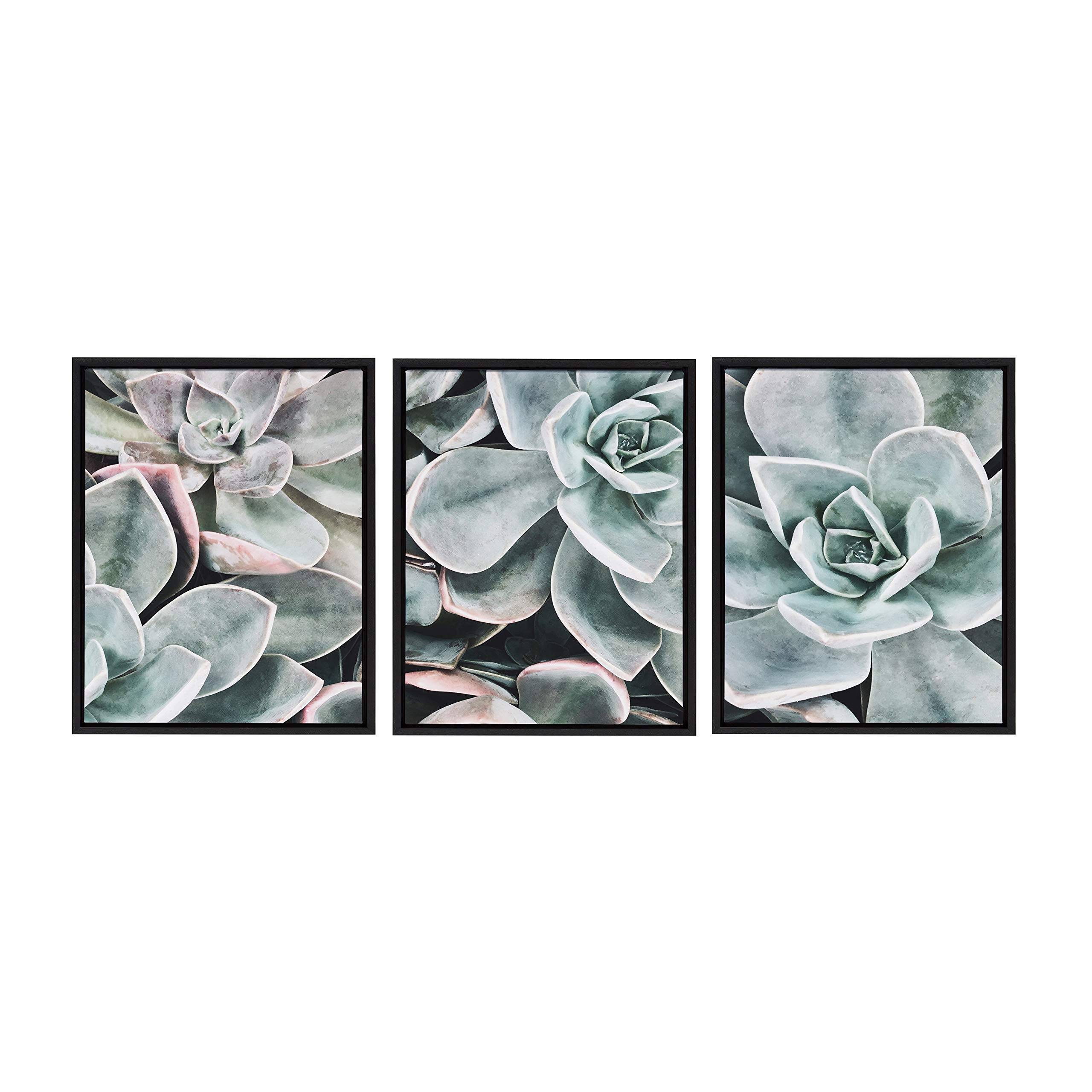 Kate & Laurel Sylvie Framed Succulent Canvas Wall Art Set of 3 - 18x24 Inch Black Botanical Prints for Living Room, Bedroom & Office Decor | Modern Plant Artwork for Home & Office Interior Design