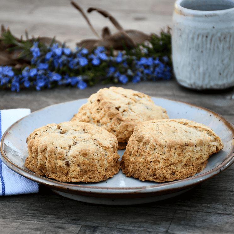 Brunch Collection with Harvest Trio - Elegant Tableware Set for Breakfast, Brunch & Entertaining | Perfect for Holiday Gatherings, Bridal Showers & Family Meals
