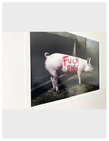 Banksy 'Fuck Pigs' High Society Print by Lazarides - Street Art Wall Decor for Urban Home & Office