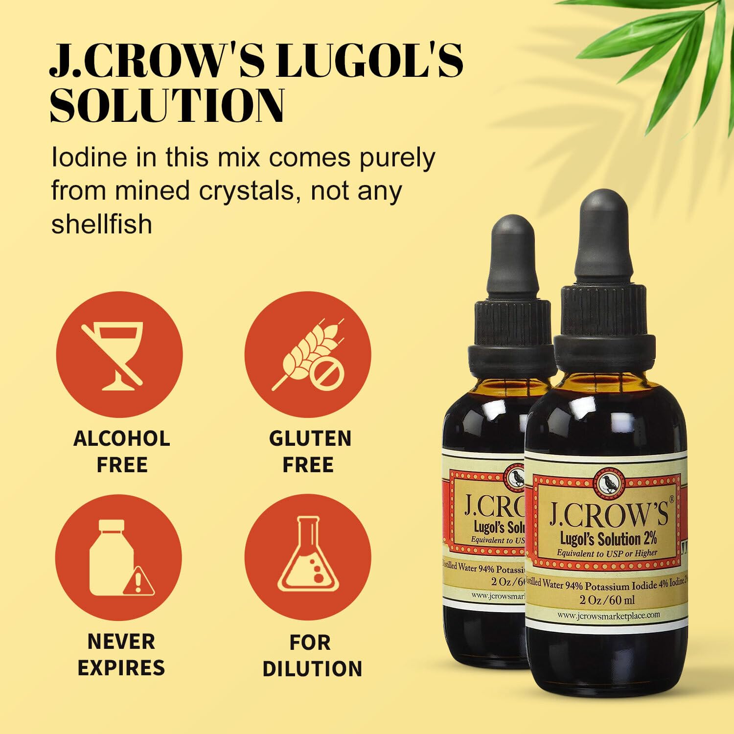 Premium J.CROW'S® Lugol's Iodine Solution 2% (2oz, 12 Bottles) - Natural Potassium Iodide Liquid for Thyroid Support & Energy Boost | Gluten-Free, Alcohol-Free, No Expiration | Ideal for Thyroid Health, Survival Kits & Emergency Preparedness