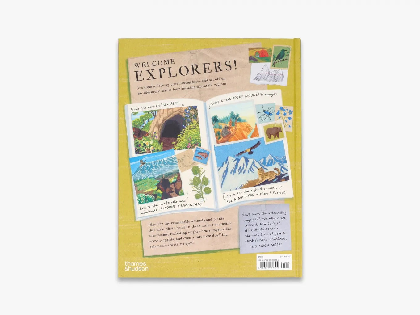 There's a Mountain in This Book - Interactive Children's Storybook for Adventure & Learning | Perfect for Bedtime Reading & Classroom Activities