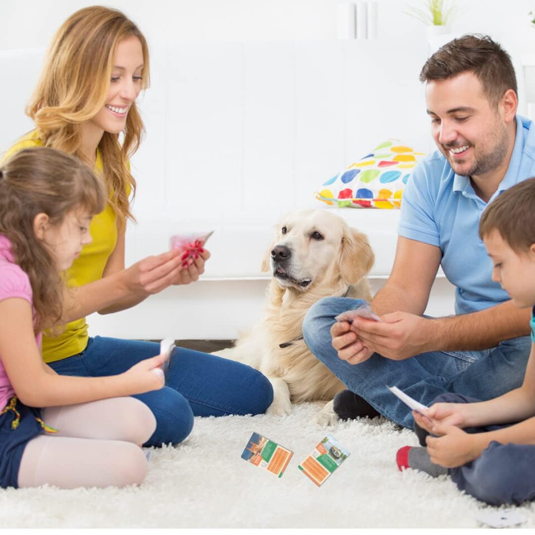 Storio EVA Foam India Map Puzzle for Kids - Educational Geography Learning Toy with Fun Fact Cards - STEM Jigsaw Puzzle for Ages 4-8 - Perfect Birthday Gift for 4-8 Year Old Boys & Girls - Great for Classroom, Homeschool & Family Game Night