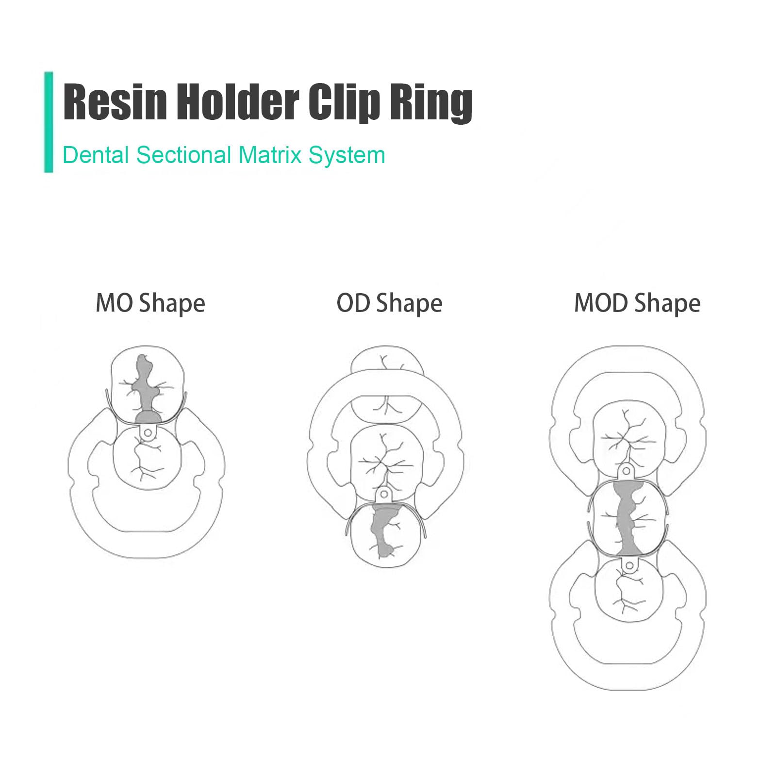 Premium Dental Sectional Matrix System Set with Matrix Bands, Placing Plier Forceps & Resin Clamping Rings - Professional Dental Restoration Kit for Composite Fillings & Crowns - Perfect for Dentists & Dental Clinics