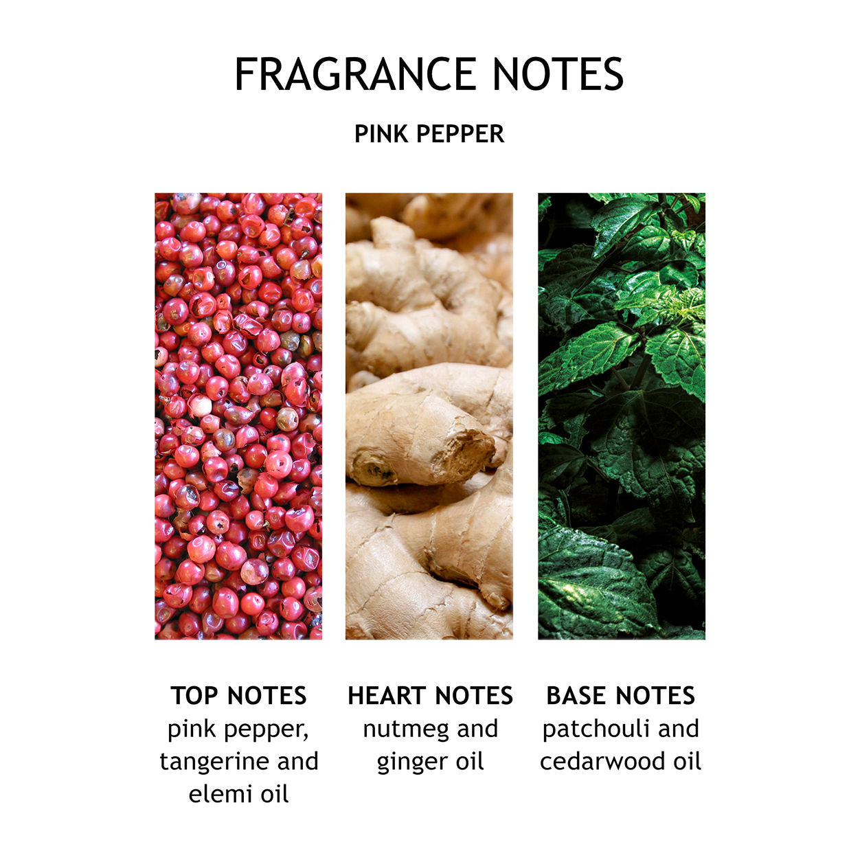 Fiery Pink Pepper Fine Liquid Hand Wash - Luxurious Moisturizing Hand Soap for Soft Skin - Perfect for Bathroom, Kitchen, and Guest Use