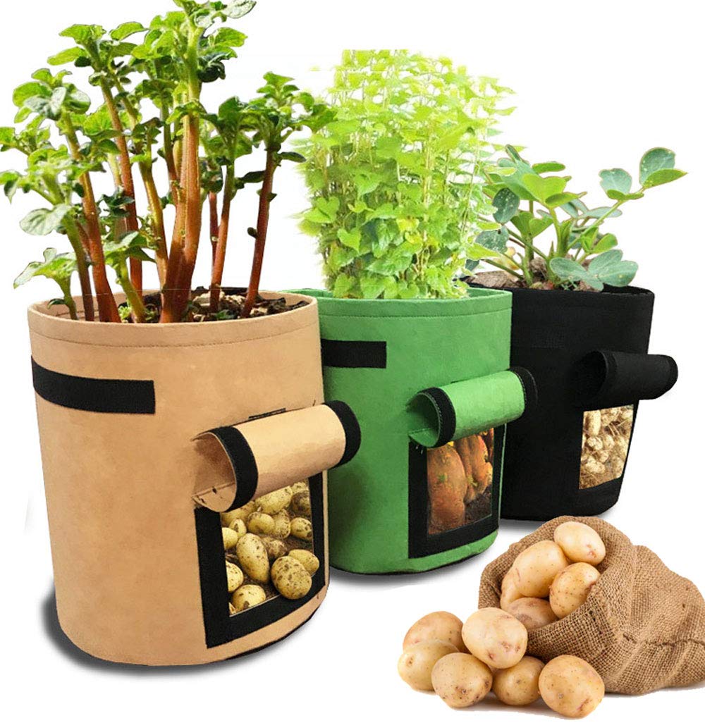 Tiptrek 10 Gallon Potato Grow Bags with Flap - 3 Pack Durable Fabric Planters for Potatoes, Strawberries & Vegetables - Heavy Duty Garden Bags with Handles & Viewing Window - Perfect for Patio, Balcony & Indoor Gardening