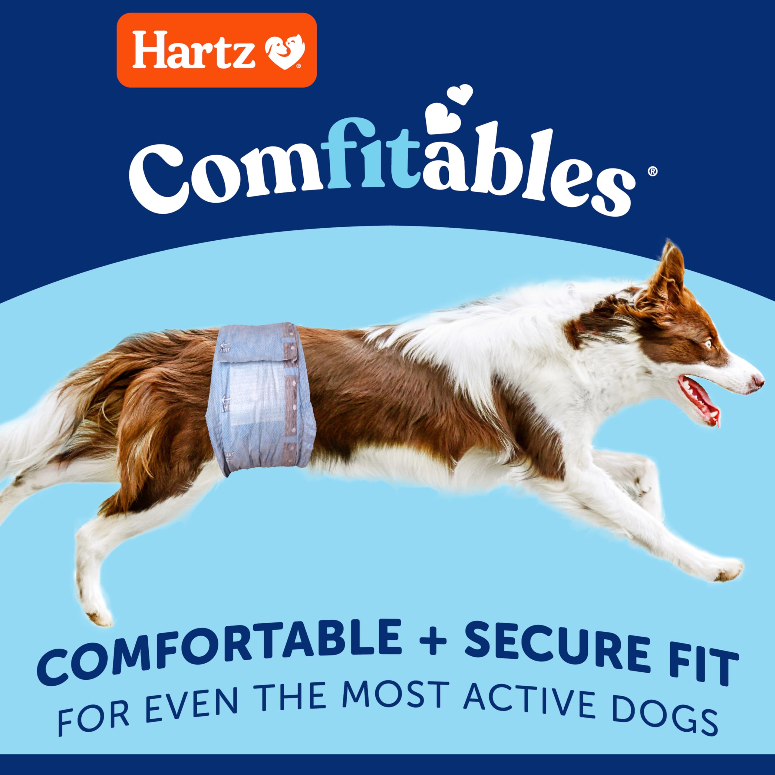 Hartz Comfitables Disposable Male Dog Wraps for Small Dogs - Stretchy Waistband, 12 Count - Perfect for House Training, Travel & Senior Dogs with Incontinence Issues