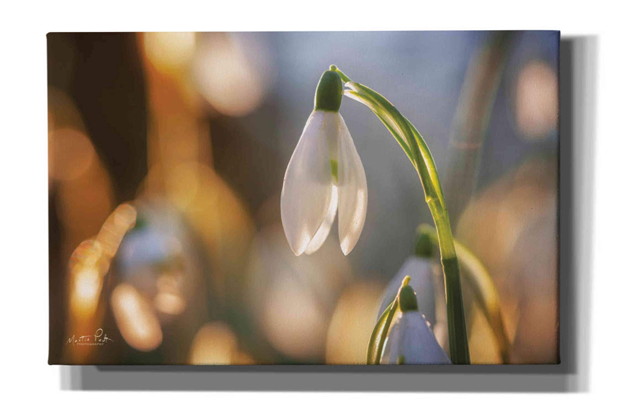 Epic Graffiti 'Shining Beauty' by Martin Podt - Modern Canvas Wall Art Print 40x26 Inches - Perfect for Living Room, Bedroom & Office Decor
