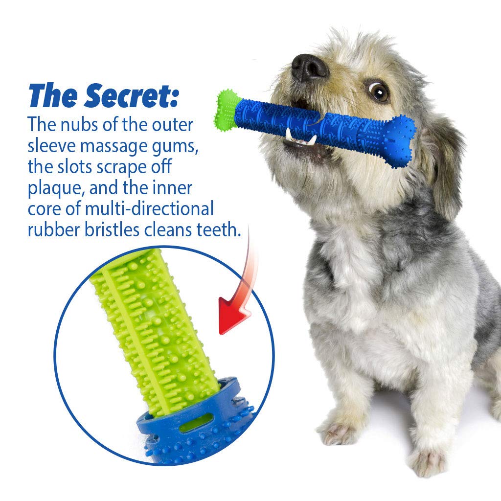BulbHead Chewbrush Dog Toothbrush Toy - No Toothpaste Needed - Dental Chew Toy for Teeth Cleaning (1 Pack) - Perfect for Puppy Teething & Dog Dental Care at Home
