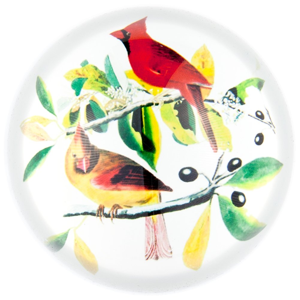 Audubon Cardinal Glass Paperweight - Elegant Home & Office Desk Decor for Bird Lovers | Perfect Gift for Nature Enthusiasts | Ideal for Bookshelves, Desks & Collections