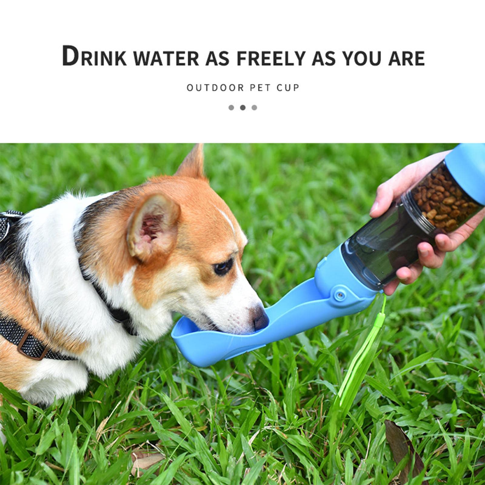 Enakshi 4-in-1 Portable Water Bottle, Food Container & Travel Cup for Outdoor Activities, Hiking, Camping - Blue | Pet & Dog Supplies | Dishes, Feeders & Water Fountains for Pets