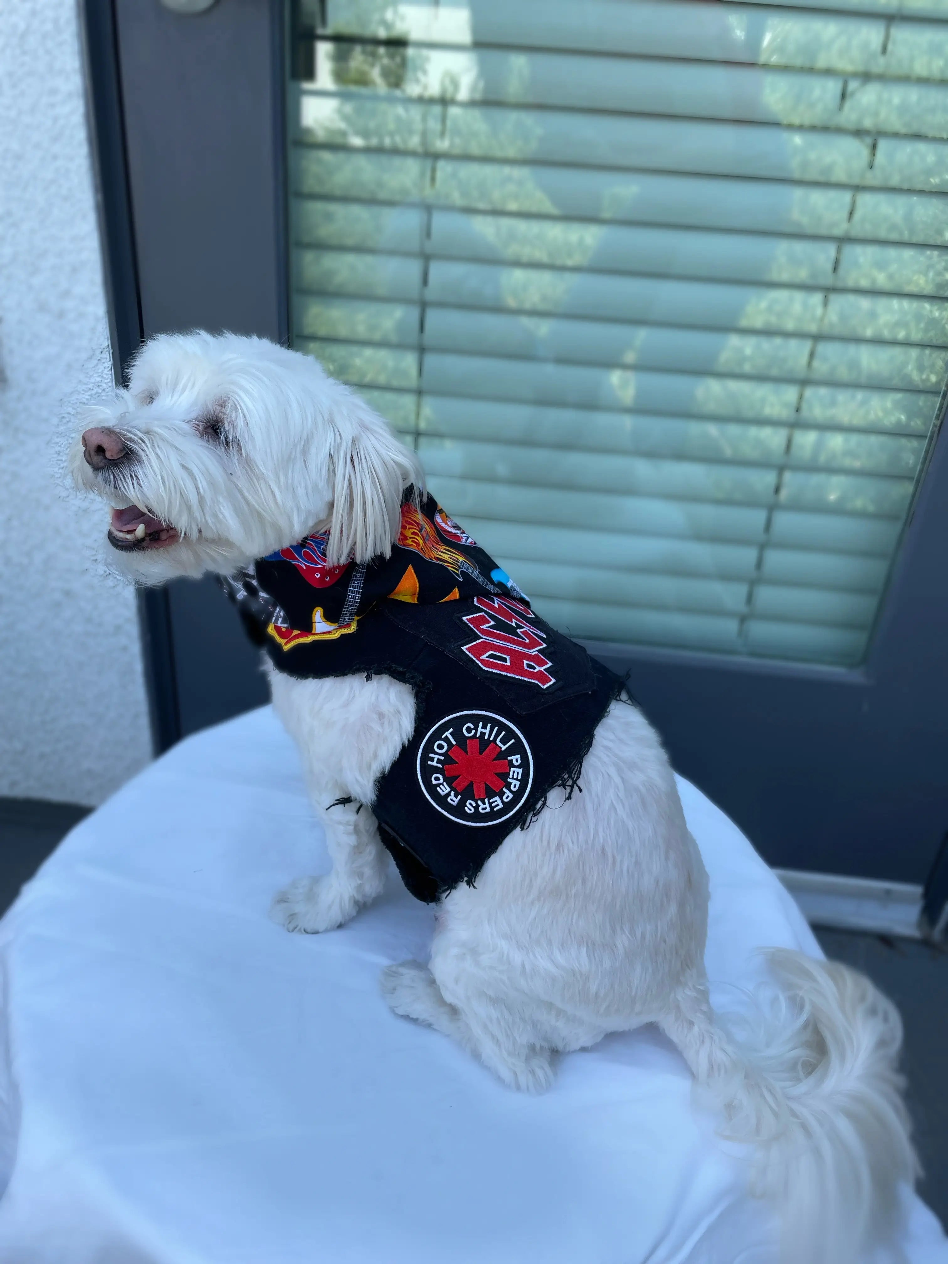 Vintage Black Upcycled Denim Rocker Harness - Punk Style Waist Belt for Concerts & Music Festivals | Inspired by Red Hot Chili Peppers