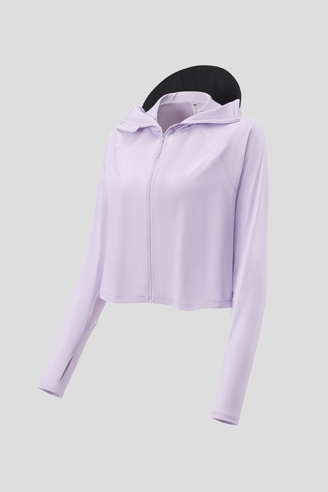 Haze Purple