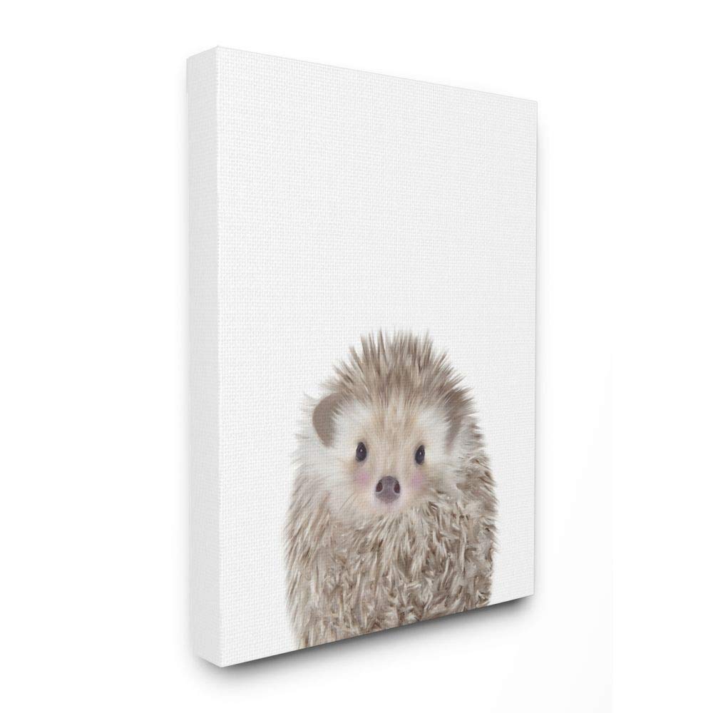 Stupell Baby Hedgehog Animal Kids Painting - Colorful Canvas Wall Art for Nursery & Playroom, 36
