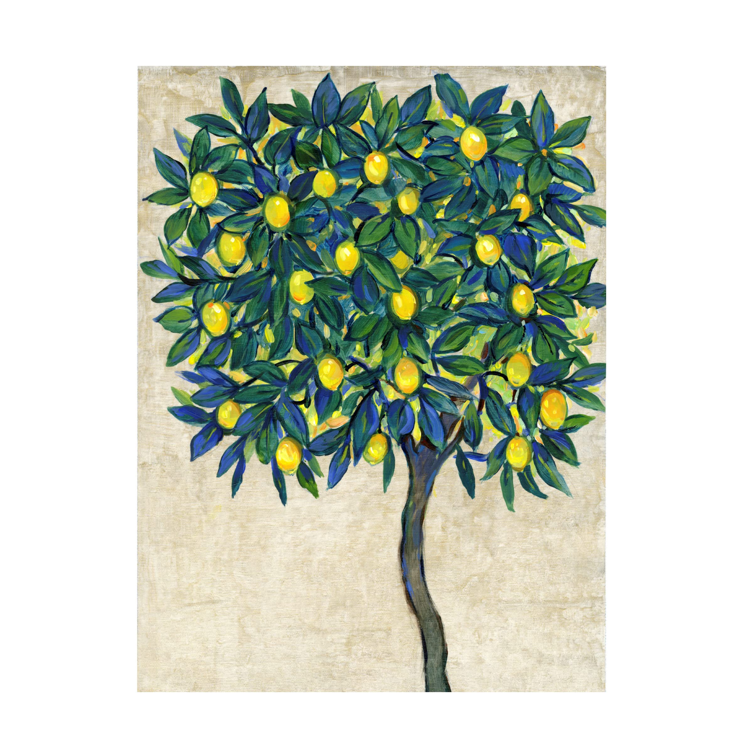 Trademark Fine Art 'Lemon Tree Composition I' by Tim OToole - 35x47 Inch Canvas Wall Art for Living Room, Bedroom & Office Decor
