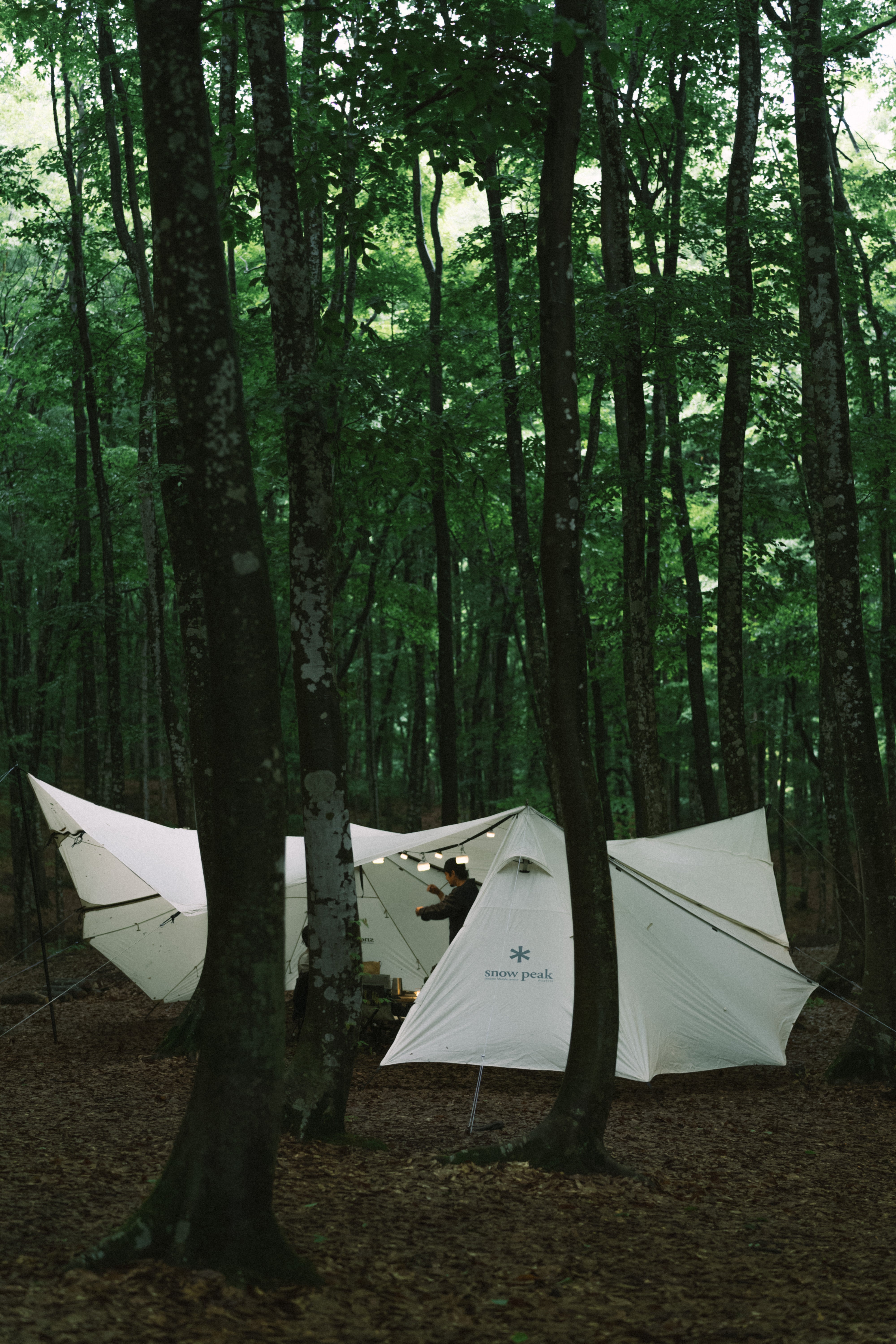 Land Station Tent Set - Lightweight & Waterproof Camping Tent for Outdoor Adventures - Perfect for Hiking, Backpacking & Family Camping Trips