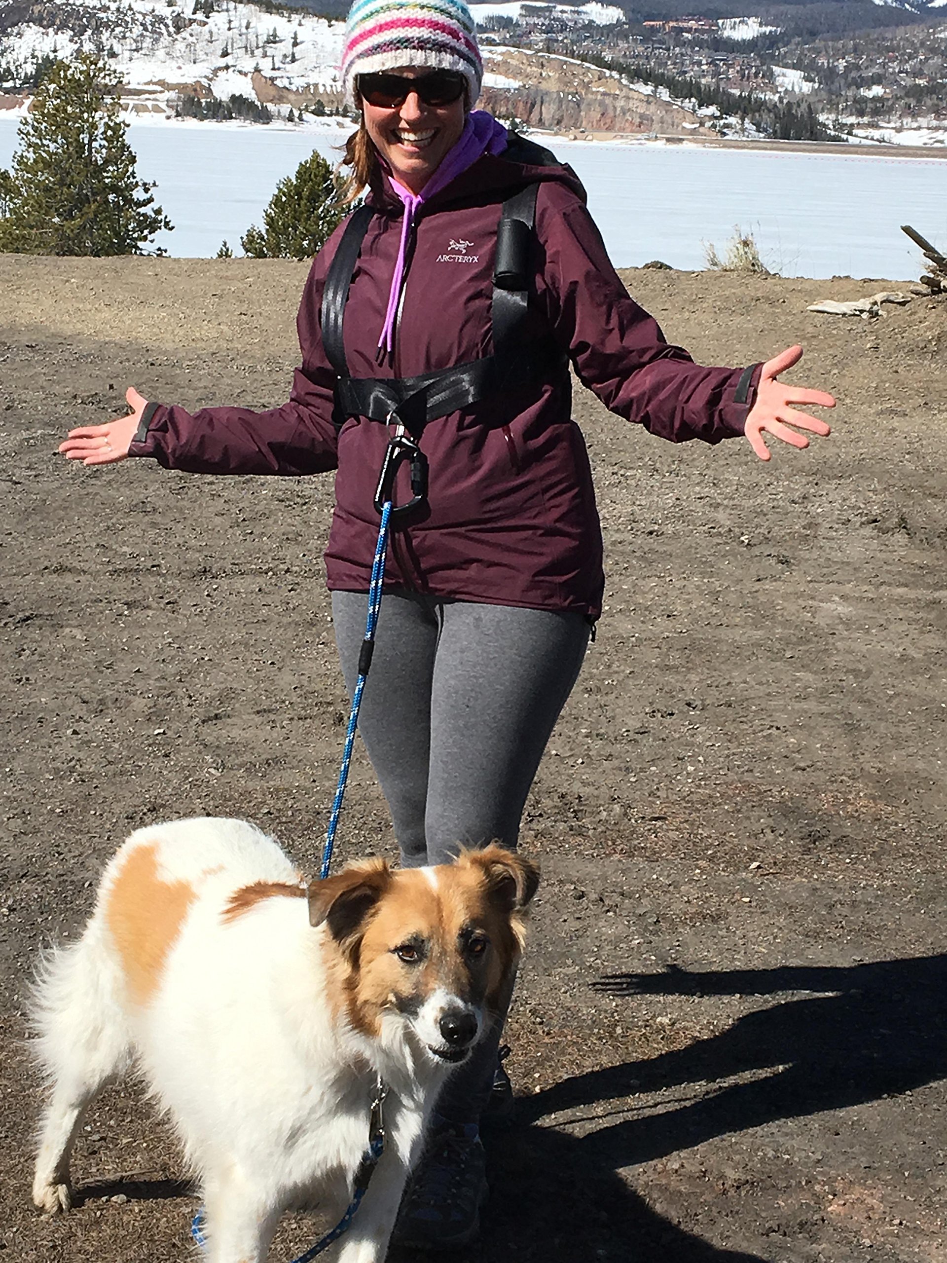 Hands Free Dog Harness - No Pull Pet Walking Vest with Adjustable Straps for Small Medium Large Dogs | Perfect for Hiking, Running & Daily Walks