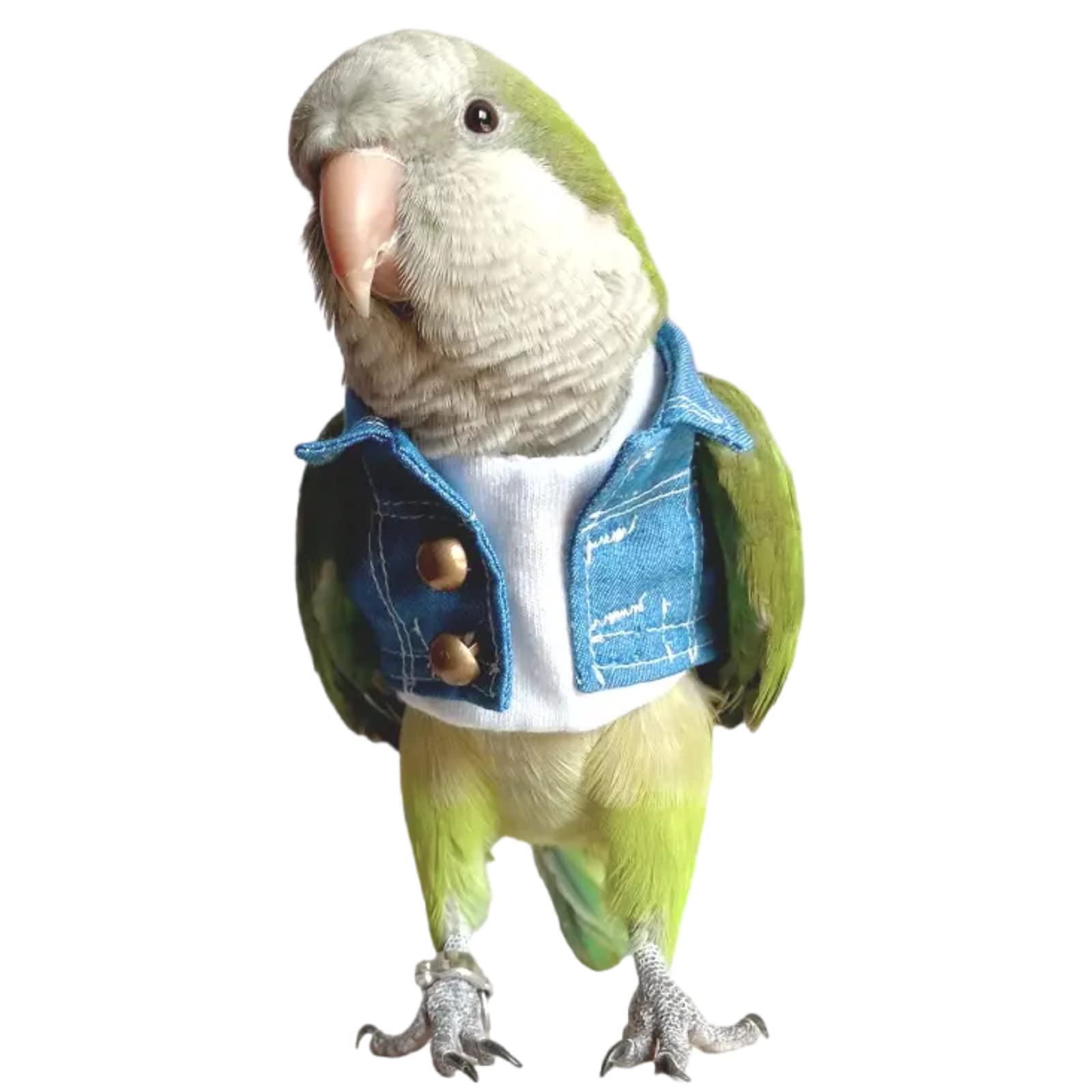 Bird Diaper Flight Suit & Costume Set for Parrots, Lovebirds, Cockatiels - Soft Bird Jeans with Absorbent Diaper - Perfect for Cosplay, Photo Props & Small Pet Apparel (Caique Size Included) - Ideal for Playtime, Training & Indoor Bird Activities
