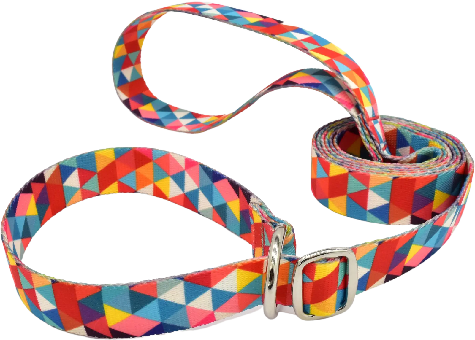 1 x 6ft Simplicity Slip Lead Dog Leash - Adjustable Nylon Rope Training Collar for Small Medium Large Dogs - Multiple Color Patterns (Ideal for Walking, Training & Outdoor Adventures)