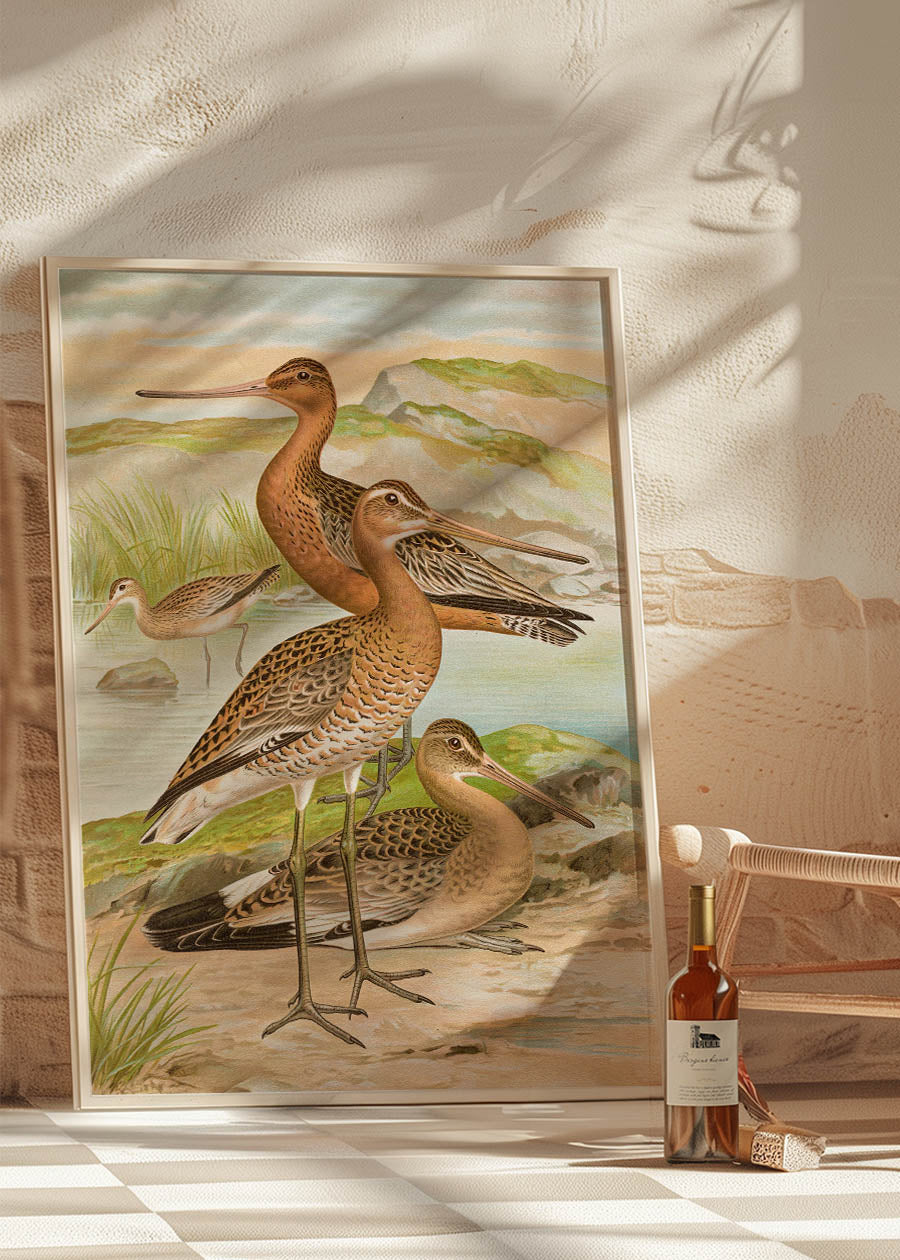 Vintage Black Tailed Godwit Bird Art Print by Johann Friedrich Naumann - Nature Decor for Home, Office & Bird Lover Gifts