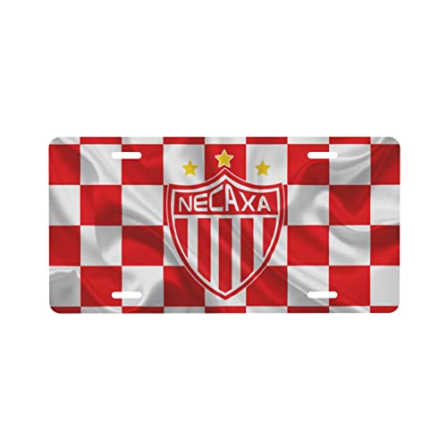 Club Necaxa 2