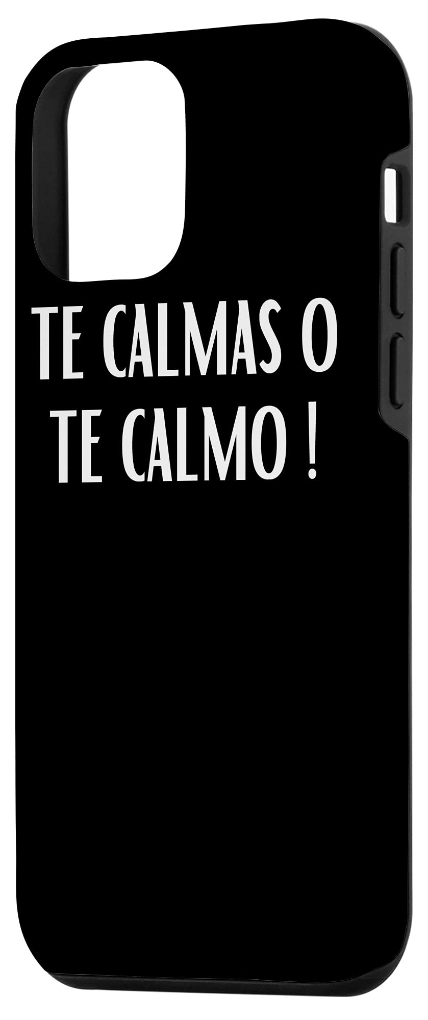 Funny Spanish Slang iPhone 12 Mini Case - 