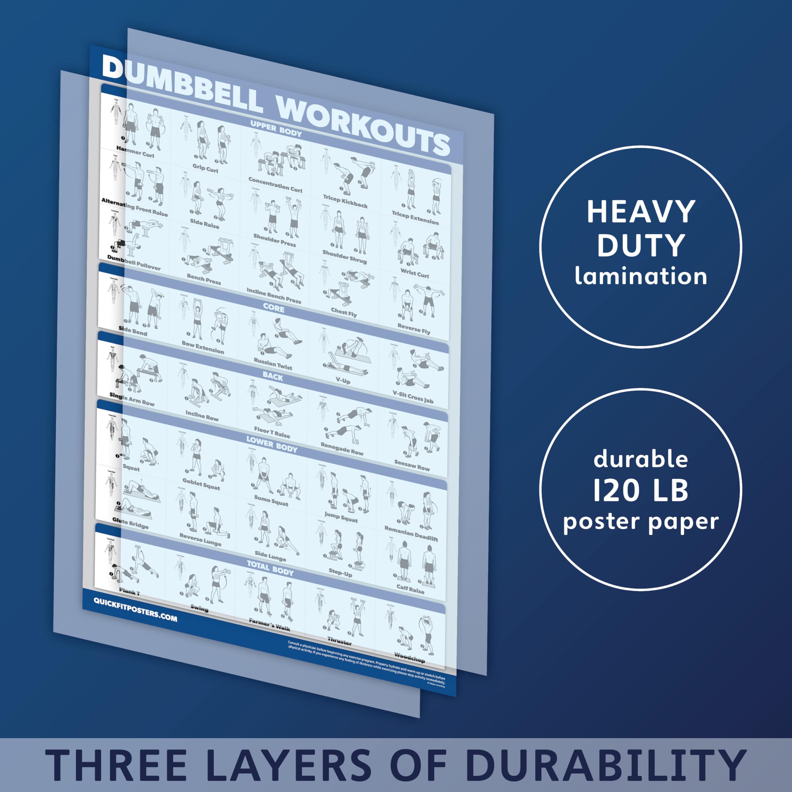 Dumbbell Workout Posters & Resistance Band Exercise Charts - 4 Pack Fitness Guide for Home Gym, Strength Training & Muscle Building | Includes Vol 1, 2, 3 + Band Workouts | Perfect for Beginners & Advanced Athletes