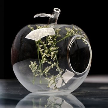 Apple-Shaped Glass Flower Vase with Moss - Mini Eco Landscape Terrarium Bottle for Home Decor, Office Desk, Wedding Centerpiece & Gift Idea