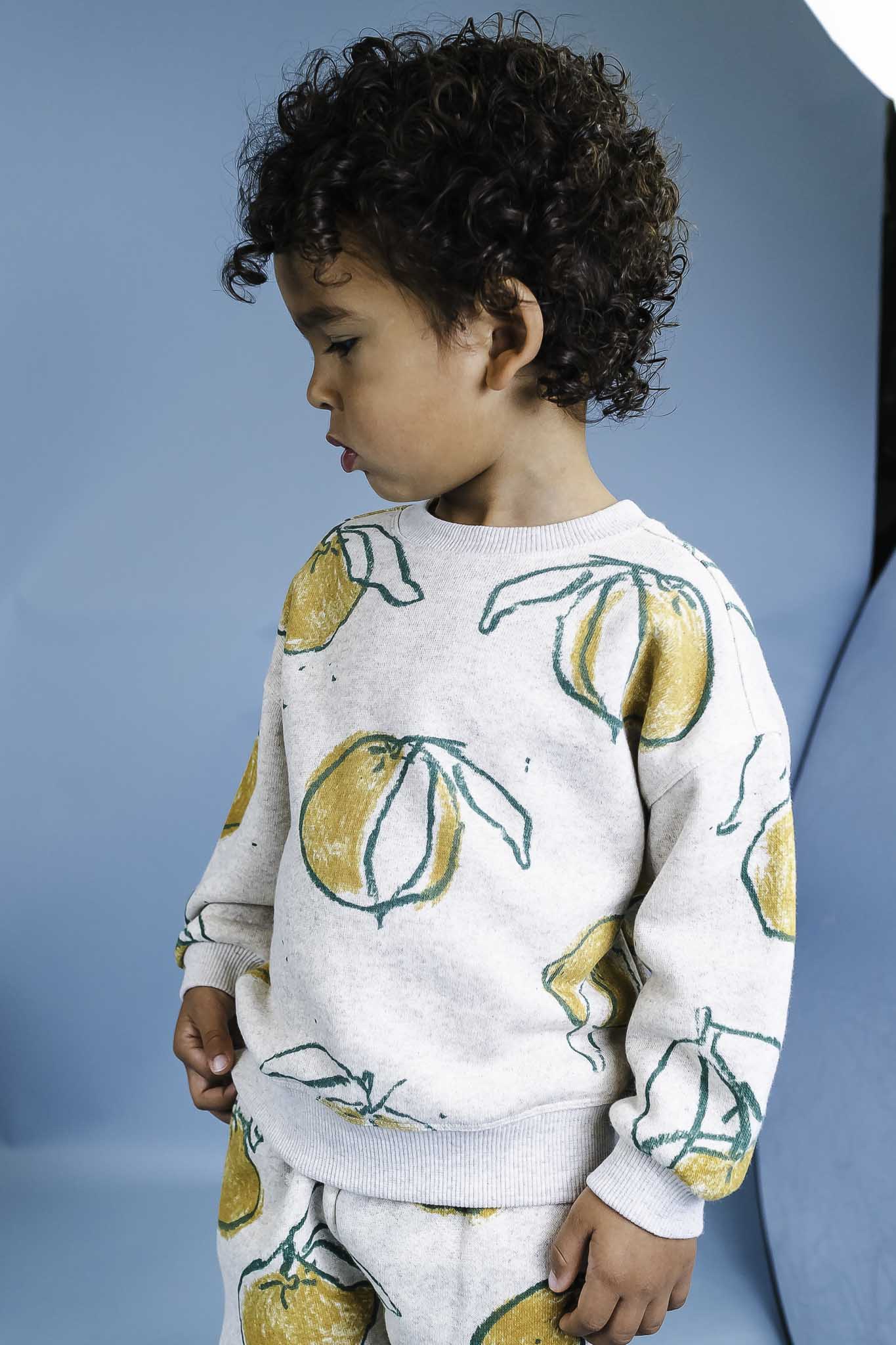 Soft Fruit Print Fleece Sweatshirt for Toddlers - Unisex Cozy Pullover for Boys & Girls | Perfect for Playdates, Preschool & Family Outings