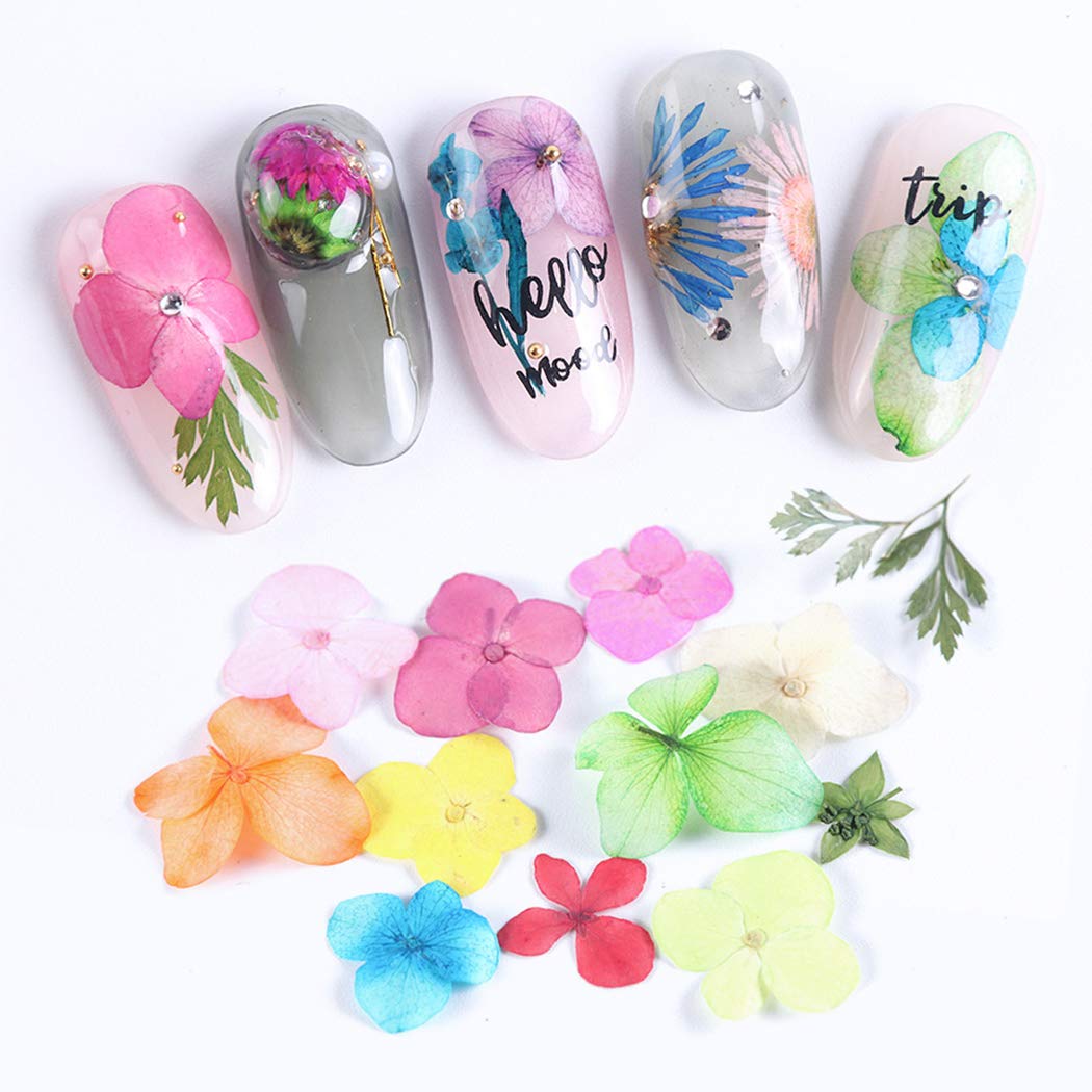 SOWUNO 12-Grid Dried Flower Nail Art Kit - Creative Nail Decoration with Assorted Dried Flowers for DIY Nail Designs - Perfect for Home, Salon & Party Nail Art