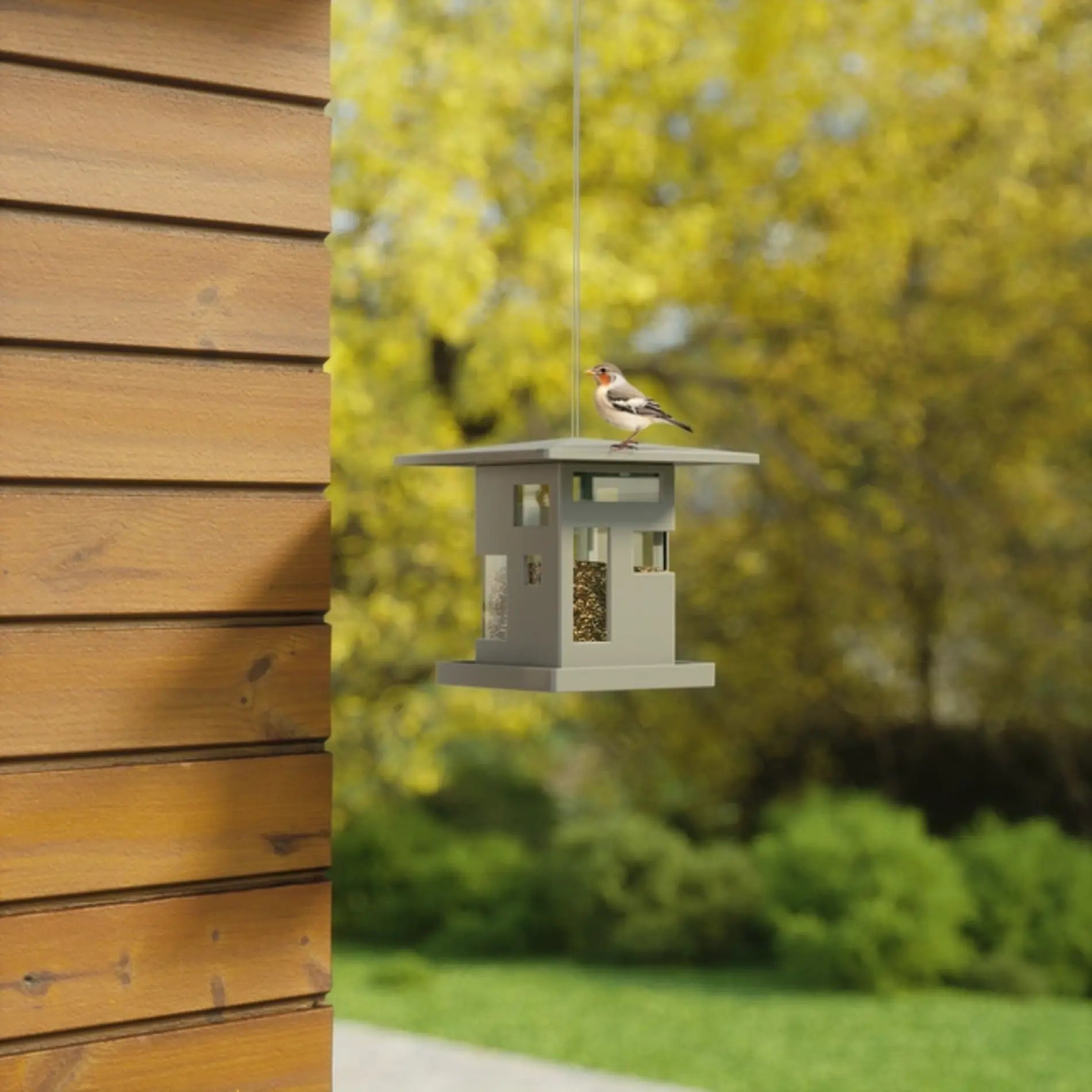Bird Cafe - Premium Bird Feeder for Outdoor Garden & Patio - Attract Wild Birds & Enhance Your Backyard Birdwatching Experience