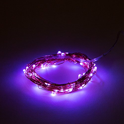 6 Foot 20 LED - Purple