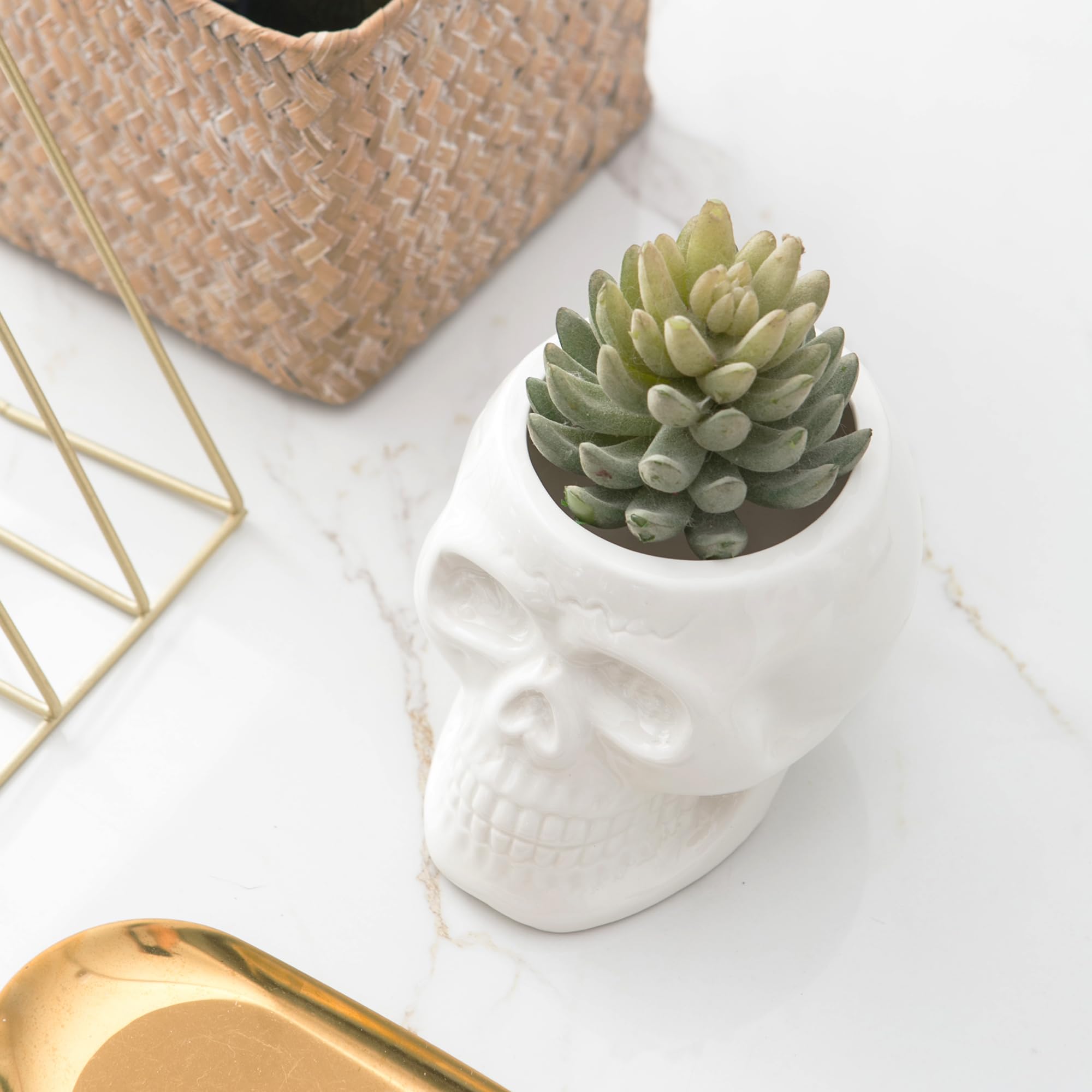Skull Planter Pots & Skeleton Vase for Succulents & Flowers | Gothic Table Centerpiece | Punk Home Decor | Halloween & Day of The Dead Decorations - White | Perfect for Goth Home Decor, Halloween Parties & Succulent Displays