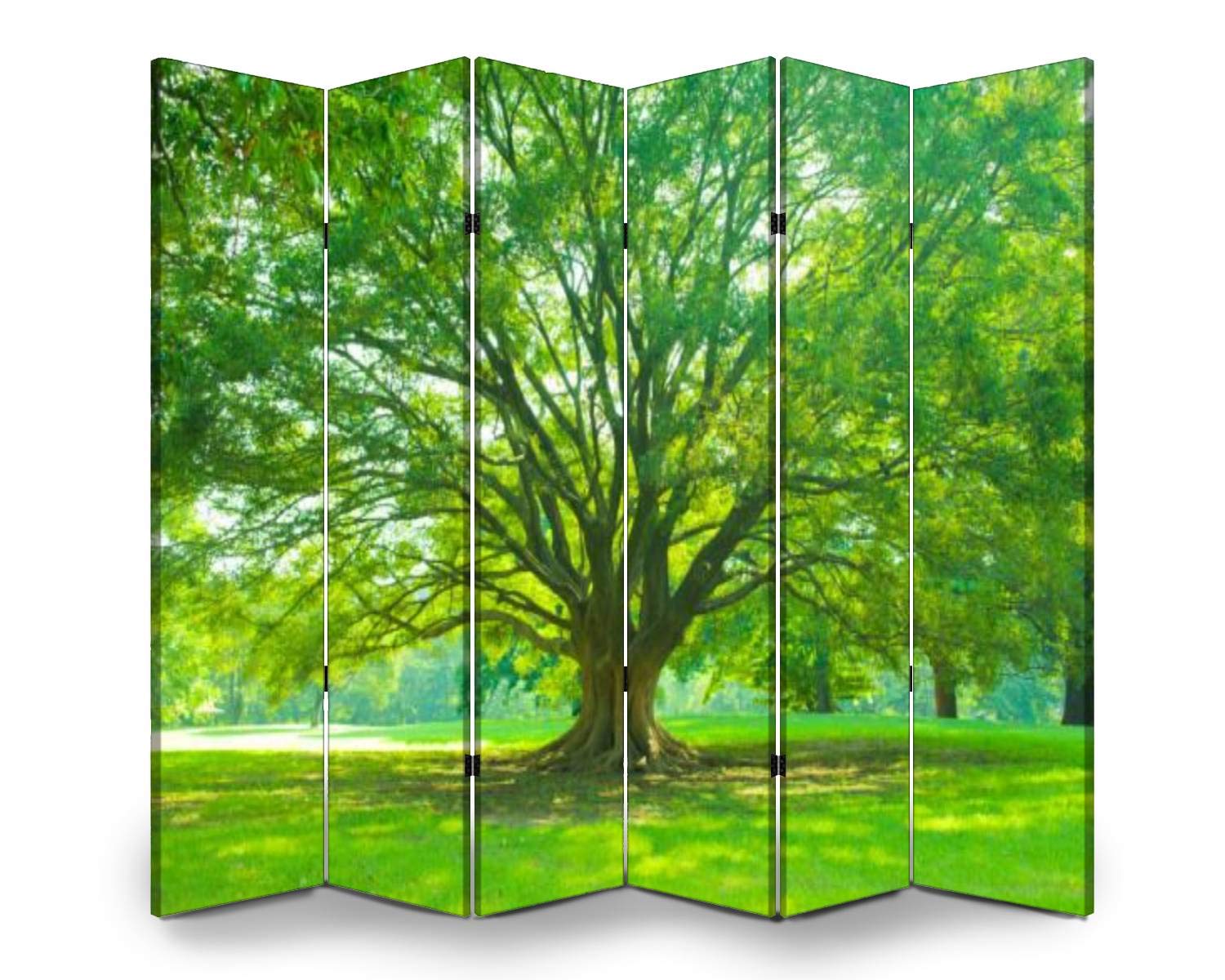 Wooden Room Divider 6-Panel Folding Privacy Screen - Dual-Sided Canvas Partition for Home Office, Bedroom & Living Room | Indoor Decorative Wall Divider with Display Shelves | Perfect for Space Separation & Morning Park Decor