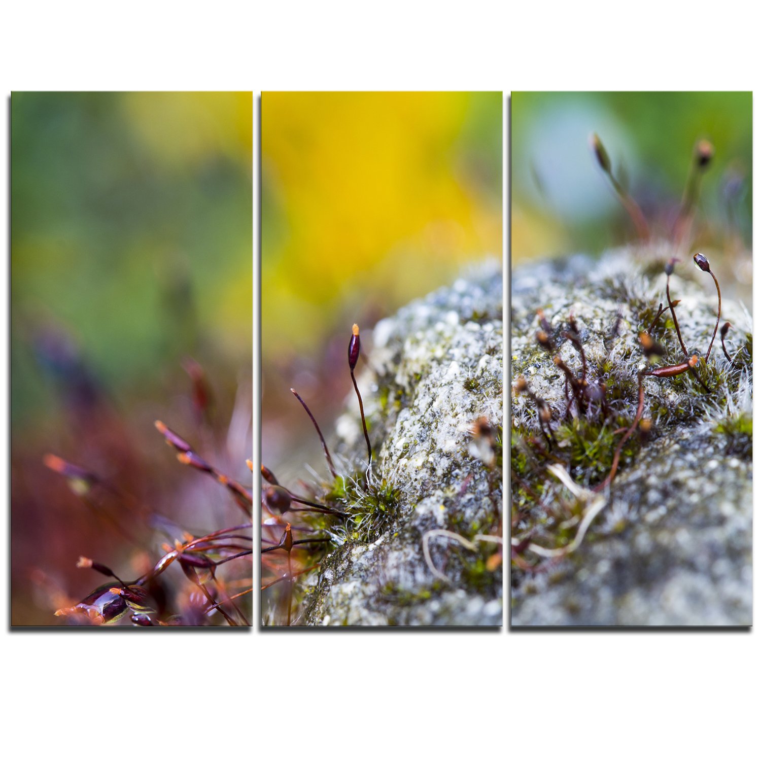 Abstract Moss Flower Modern Landscape Canvas Wall Art Print - 3 Panel Set 36x28 Inches for Living Room, Bedroom & Office Decor