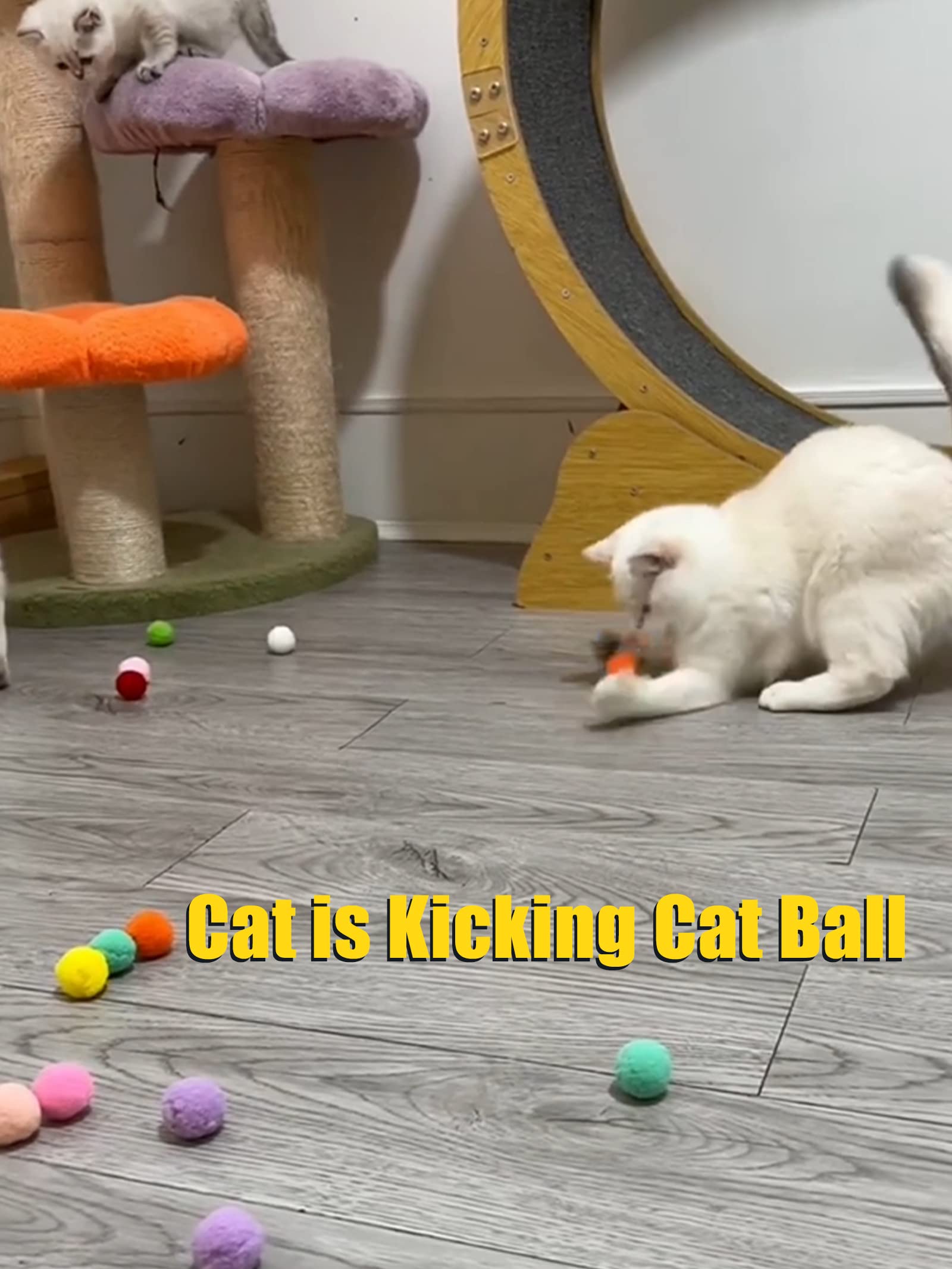 20-Piece Interactive Cat Toys Variety Pack - Spring Toys, Bell Balls & Plush Toys for Indoor Cats of All Ages | Stimulate Play & Reduce Boredom for Happy Pets | Perfect for Playtime, Training & Bonding with Your Feline Friend