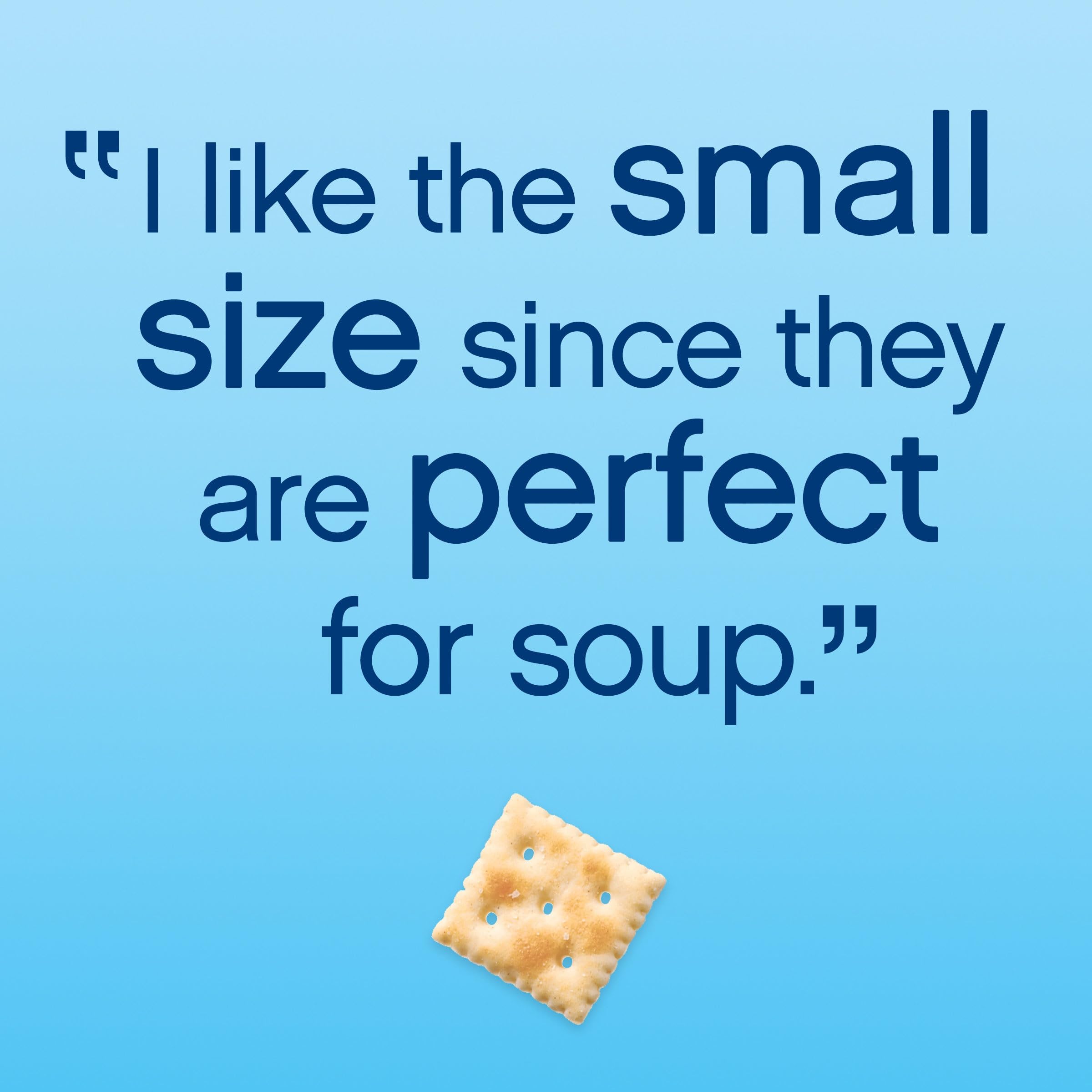 Premium Original Mini Saltine Crackers - 11oz Pack | Crunchy Lunch Snacks & On-The-Go Treats | Perfect for School Lunches, Office Snacking & Road Trips