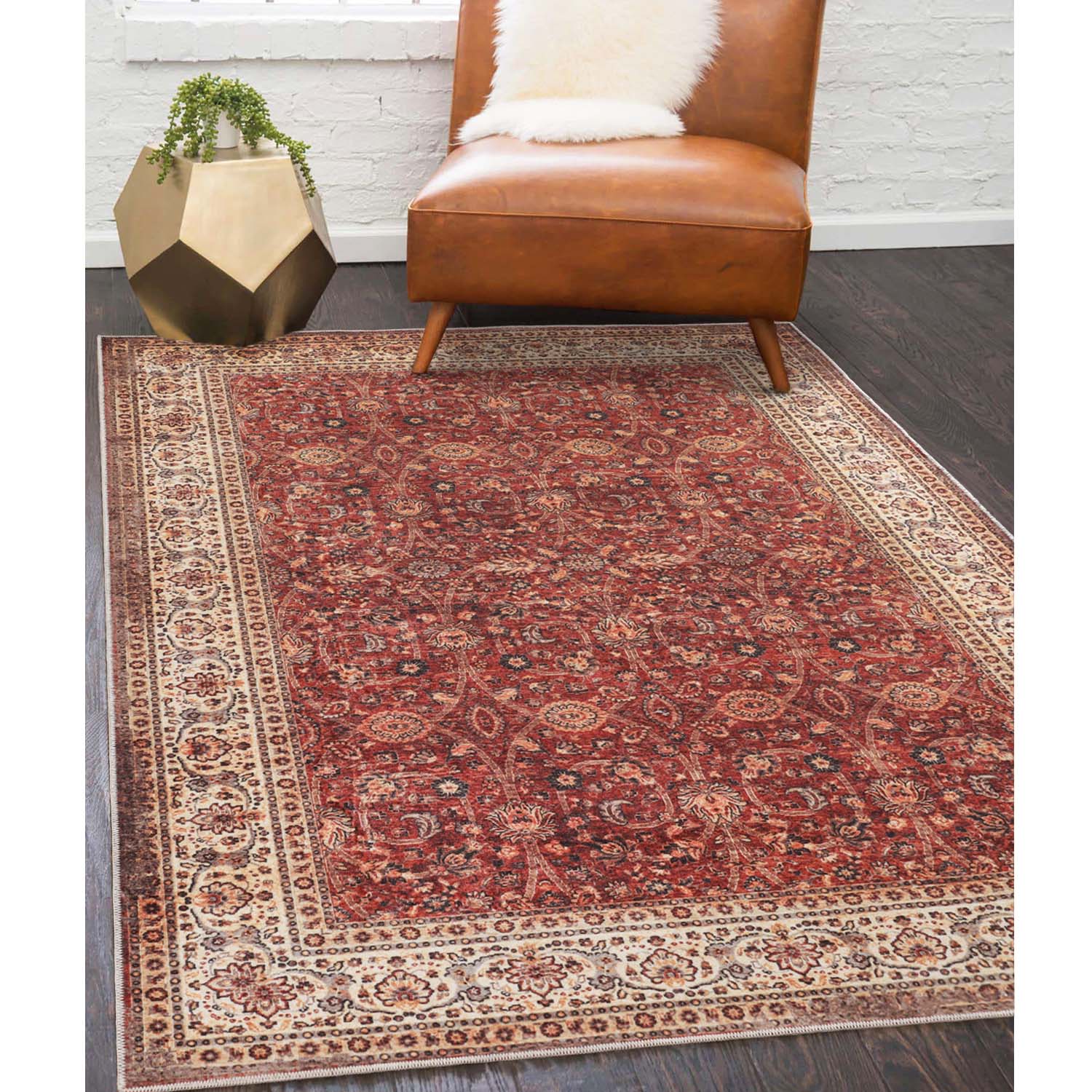 Vintage Toucan Non-Slip Washable Indoor Area Rug - Soft Machine Washable Runner Rug for Living Room, Bedroom & Entryway Decor