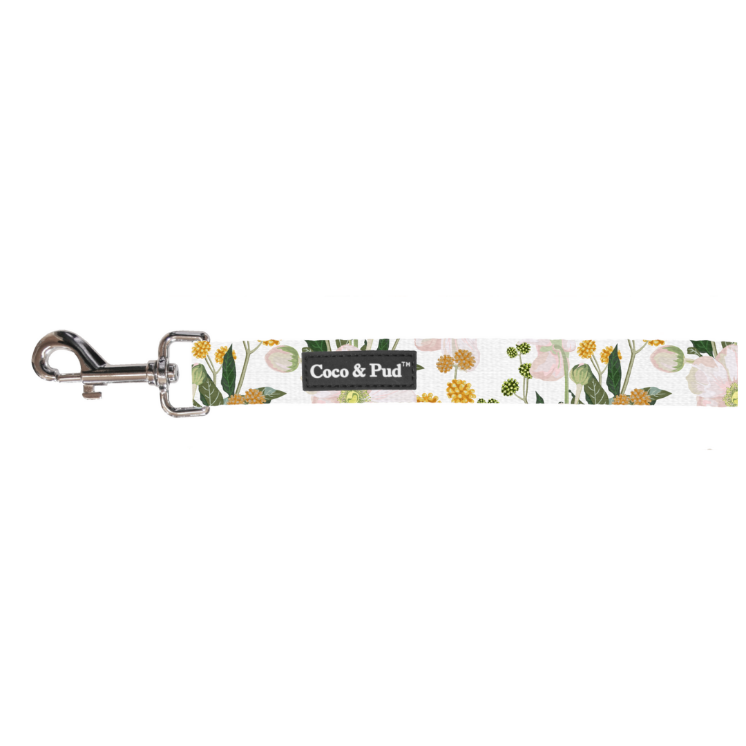 Premium Retractable Cat Leash with Comfortable Harness - Safe & Durable for Indoor/Outdoor Walking, Training, and Vet Visits