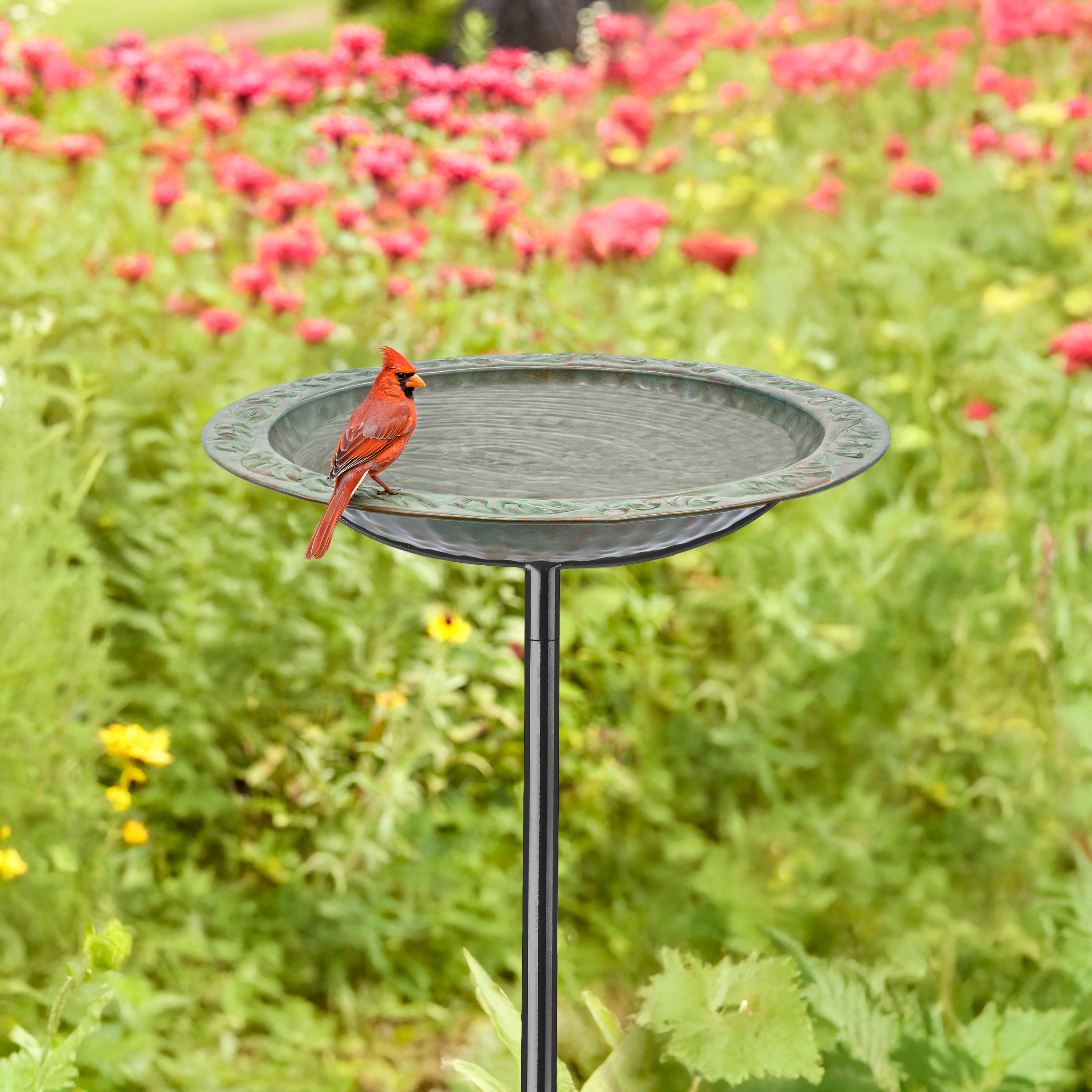 13.5” Copper Bird Bath with Garden Pole - Blue Verde Finish | Outdoor Garden Decor for Birds & Wildlife | Perfect for Patio, Yard & Backyard Landscaping
