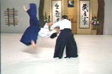 Aikido Principles & Techniques DVD by Mary Heiny - Learn Self-Defense & Martial Arts for Home Training, Dojo Practice & Fitness